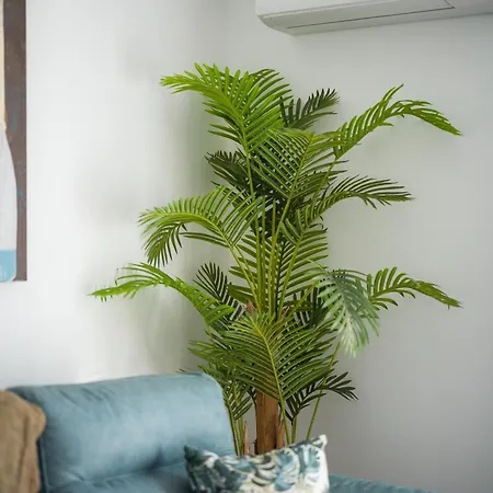 Apartment Verano